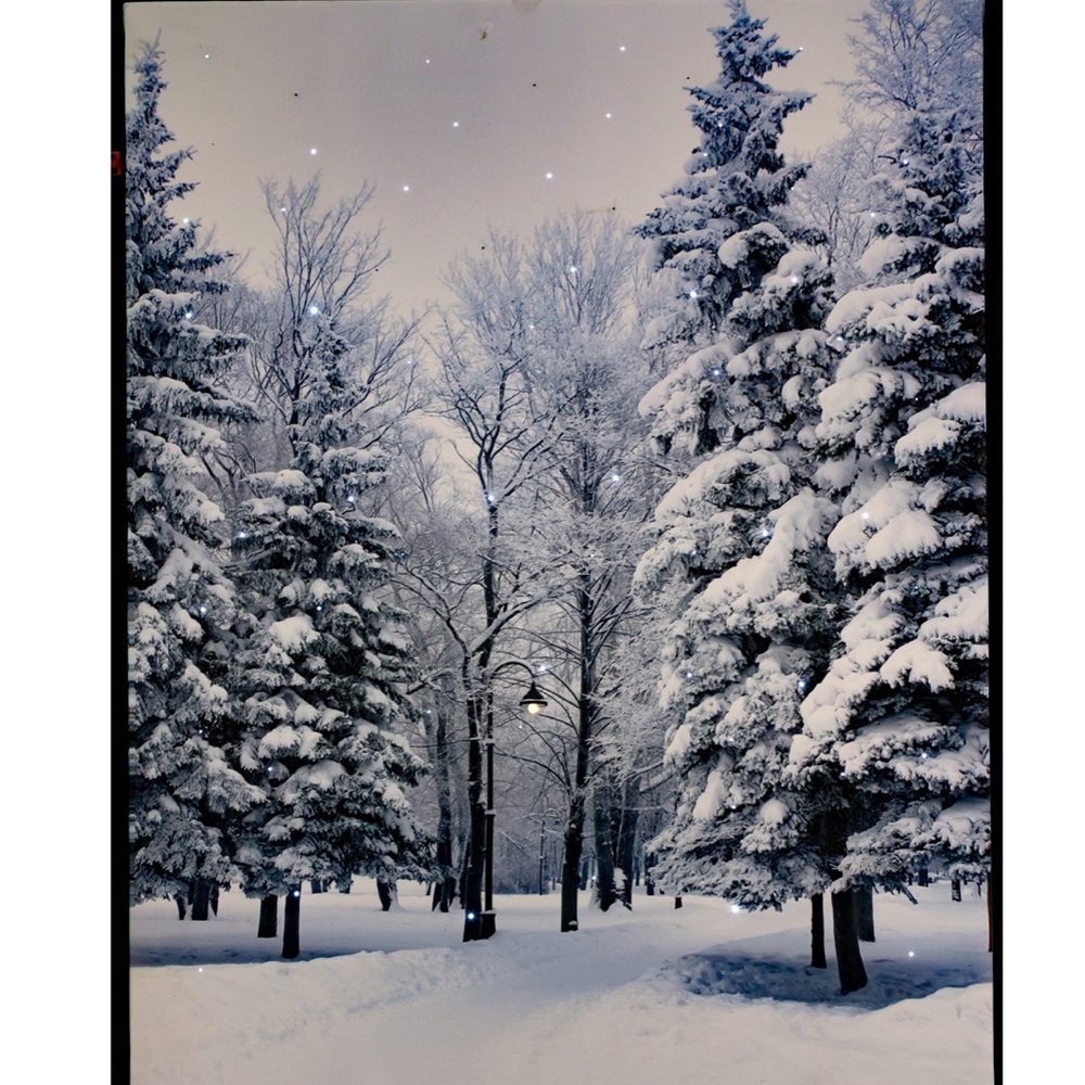 Holiday LED Canvas